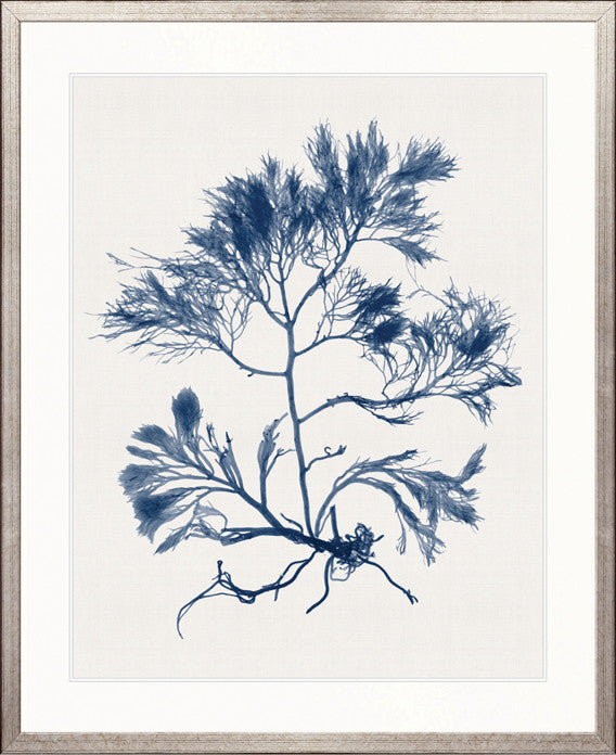 Seaweed Subject XXII (Indigo)