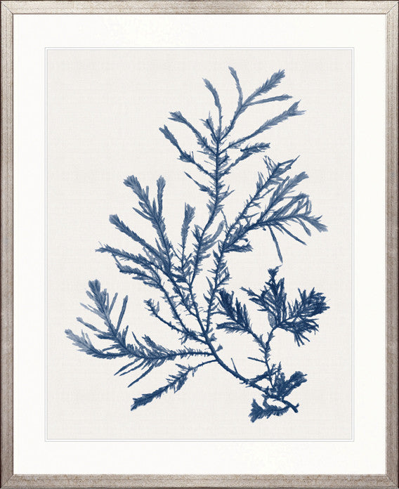 Seaweed Subject XXIV (Indigo)