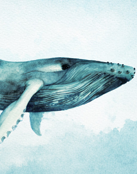 Whale Tales I (Canvas)