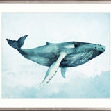 Whale Tales I