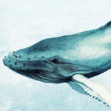 Whale Tales II (Canvas) Large (1109mm W x 903mm H)