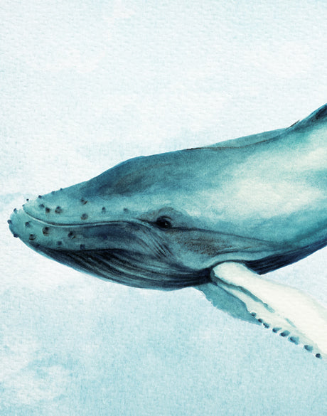 Whale Tales II (Canvas)