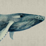 Whale Tales III (Canvas) Large (1109mm W x 903mm H)