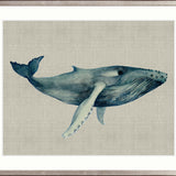 Whale Tales III