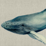 Whale Tales IV (Canvas) Large (1109mm W x 903mm H)
