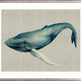 Whale Tales IV