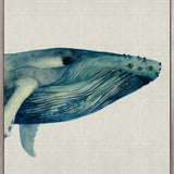 Whale Tales VI (Canvas) Large (903mm W x 1109mm H)