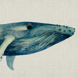 Whale Tales VI (Canvas) Large (903mm W x 1109mm H)