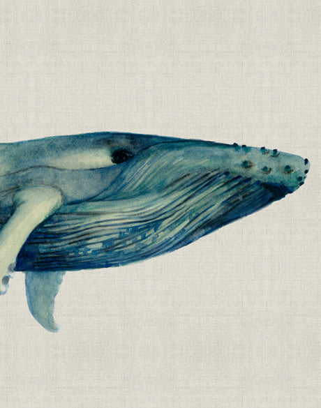 Whale Tales VI (Canvas)