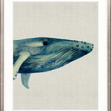 Whale Tales VI