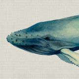 Whale Tales VII (Canvas) Large (903mm W x 1109mm H)