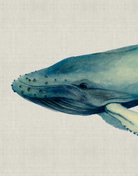 Whale Tales VII (Canvas)