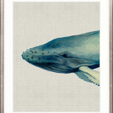 Whale Tales VII