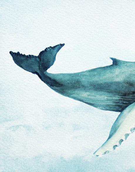 Whale Tales IX (Canvas)