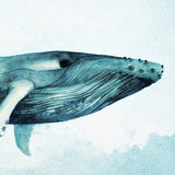 Whale Tales X (Canvas) Large (903mm W x 1109mm H)