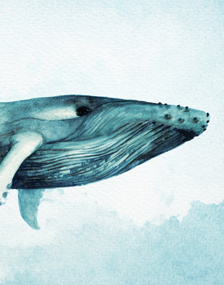 Whale Tales X (Canvas)