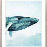 Whale Tales X