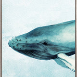 Whale Tales XI (Canvas) Large (903mm W x 1109mm H)