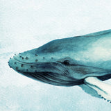 Whale Tales XI (Canvas) Large (903mm W x 1109mm H)