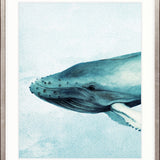 Whale Tales XI