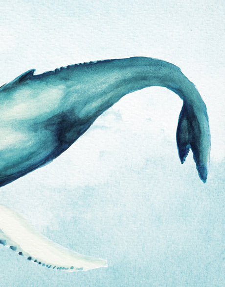 Whale Tales XII (Canvas)