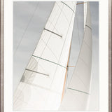 Whittington Sail I