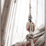 Whittington Sail III (Canvas)