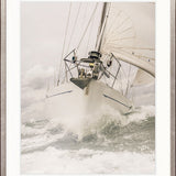 Whittington Sail IV
