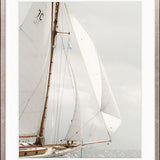 Whittington Sail VI