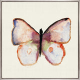 Delicate Butterfly I (Canvas)