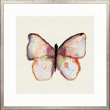 Delicate Butterfly I
