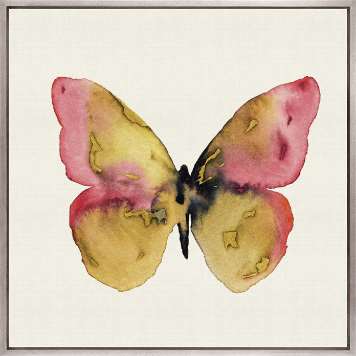 Delicate Butterfly II (Canvas)