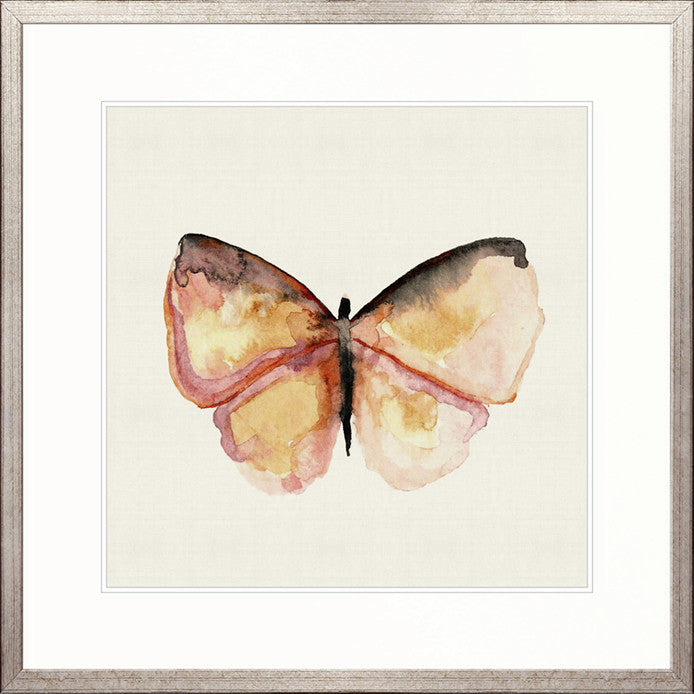 Delicate Butterfly III