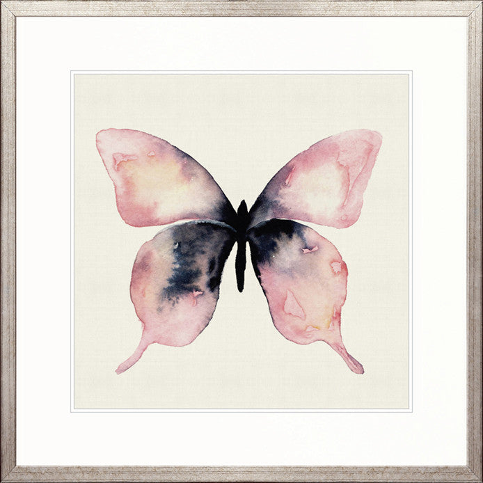 Delicate Butterfly IV