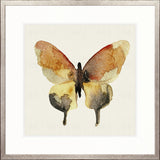 Delicate Butterfly VI