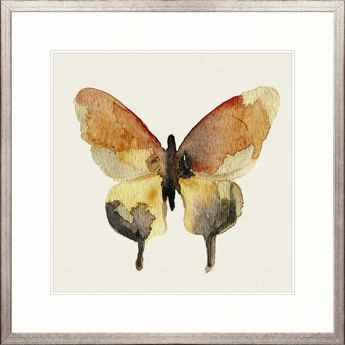 Delicate Butterfly VI