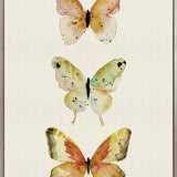 Butterfly Trio VII (Canvas)