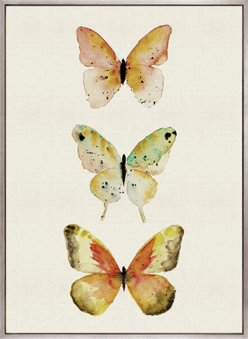 Butterfly Trio VII (Canvas)
