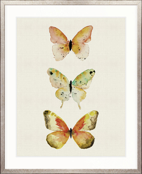 Butterfly Trio I