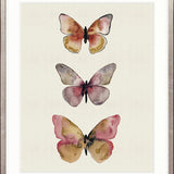 Butterfly Trio II