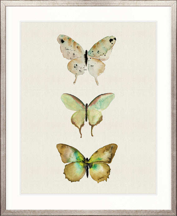 Butterfly Trio III