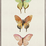 Butterfly Trio IV (Canvas)