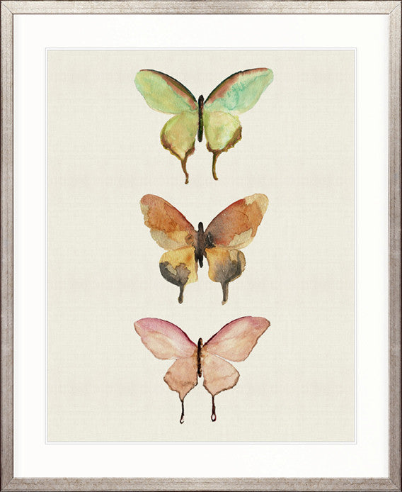 Butterfly Trio IV