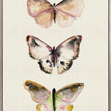 Butterfly Trio V (Canvas)