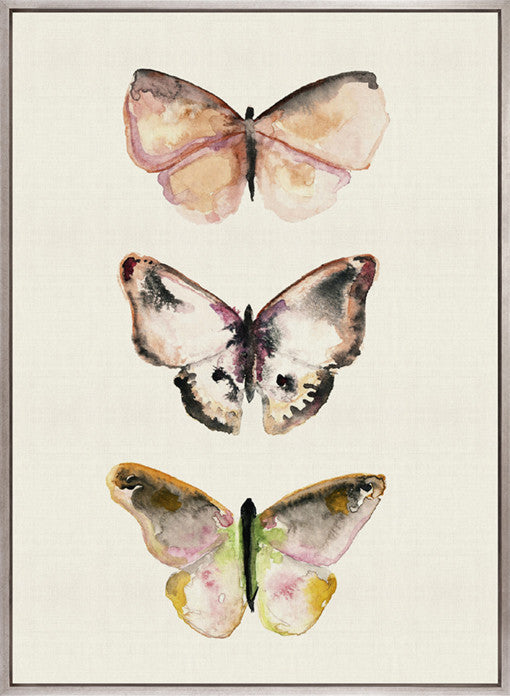 Butterfly Trio V (Canvas)