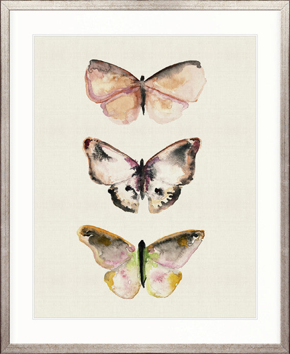 Butterfly Trio V