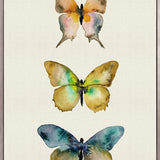 Butterfly Trio VI (Canvas)