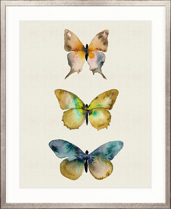 Butterfly Trio VI