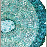 Nature's Abstract I (Canvas)