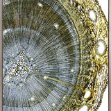 Nature's Abstract II (Canvas)